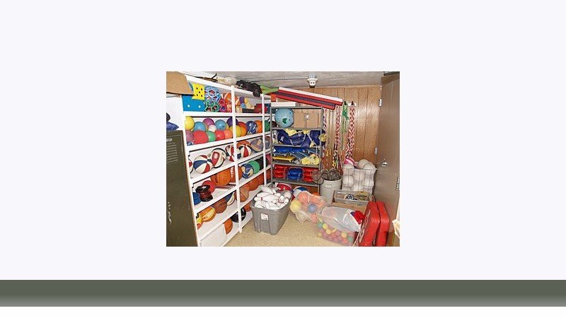 تربیت بدنی