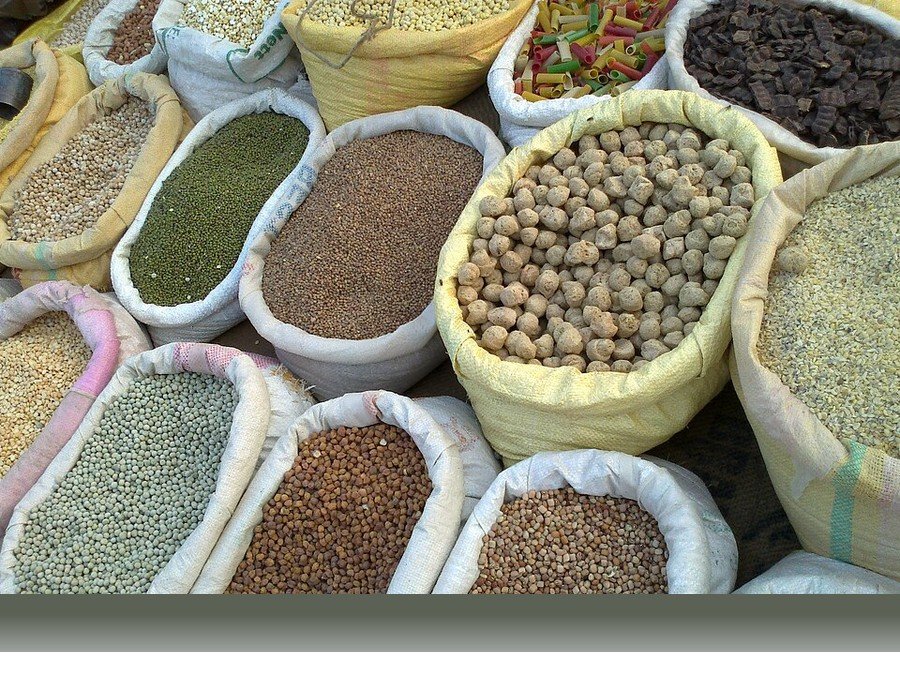 علوم کشاورزی