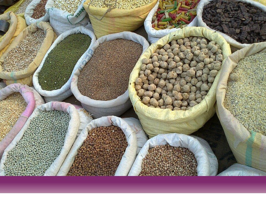 علوم کشاورزی