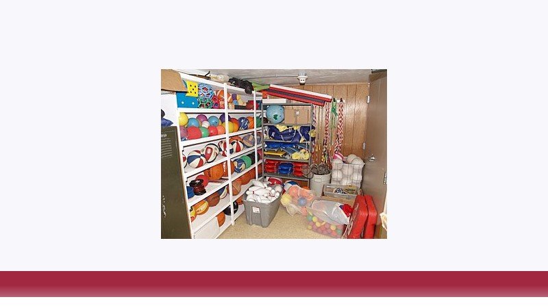 تربیت بدنی
