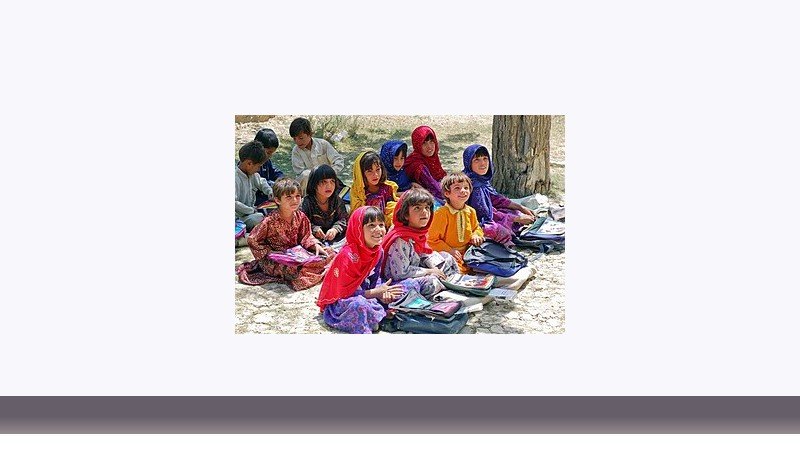 علوم تربیتی