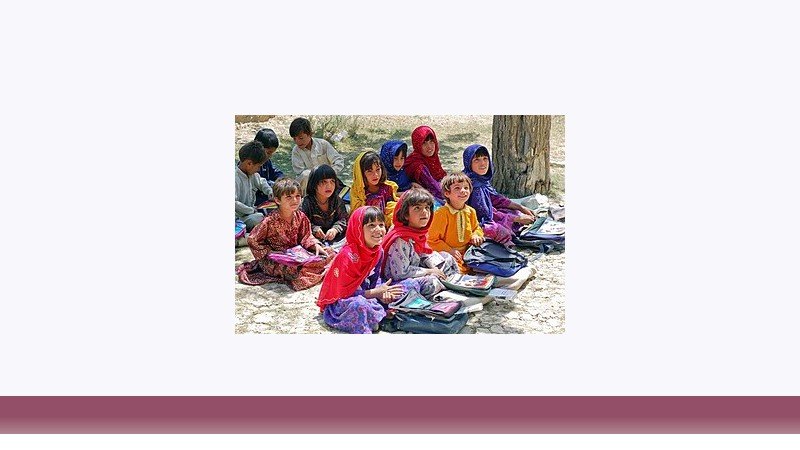 علوم تربیتی