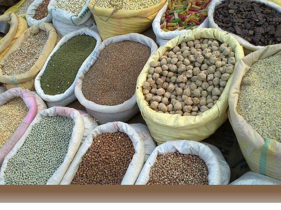 علوم کشاورزی