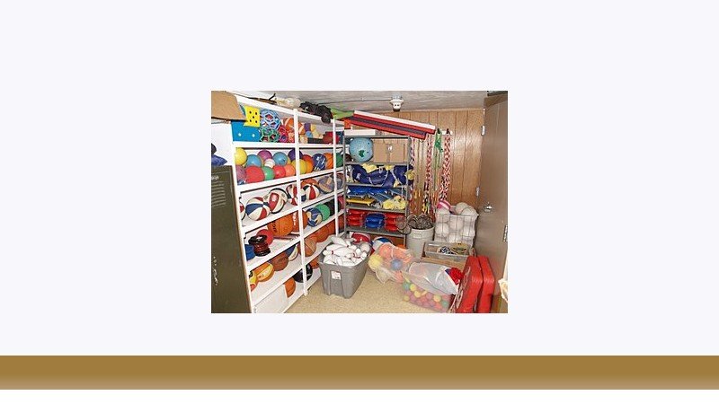 تربیت بدنی