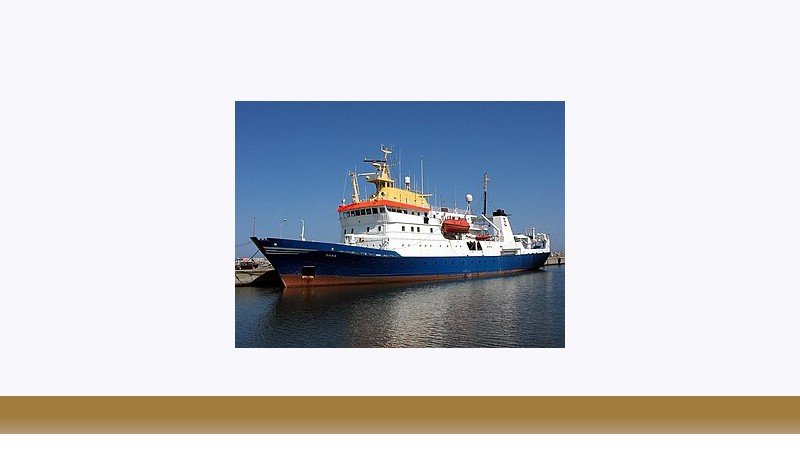 شیلات