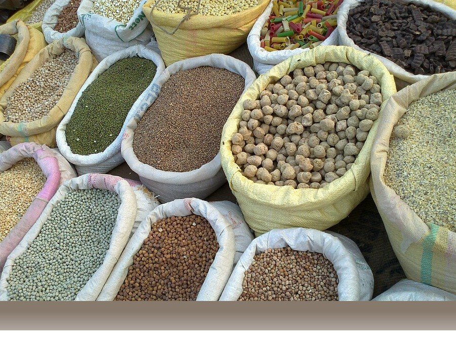 علوم کشاورزی