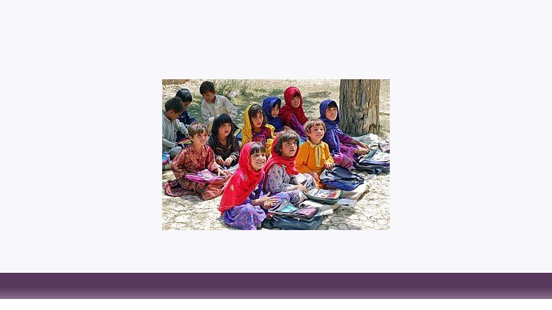 علوم تربیتی