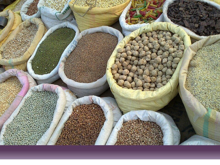 علوم کشاورزی
