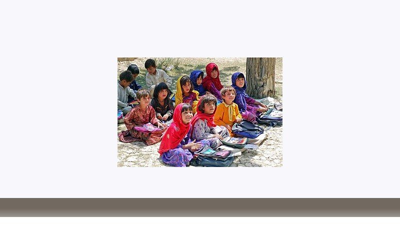 علوم تربیتی
