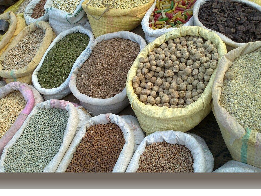 علوم کشاورزی