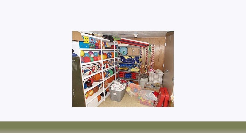 تربیت بدنی
