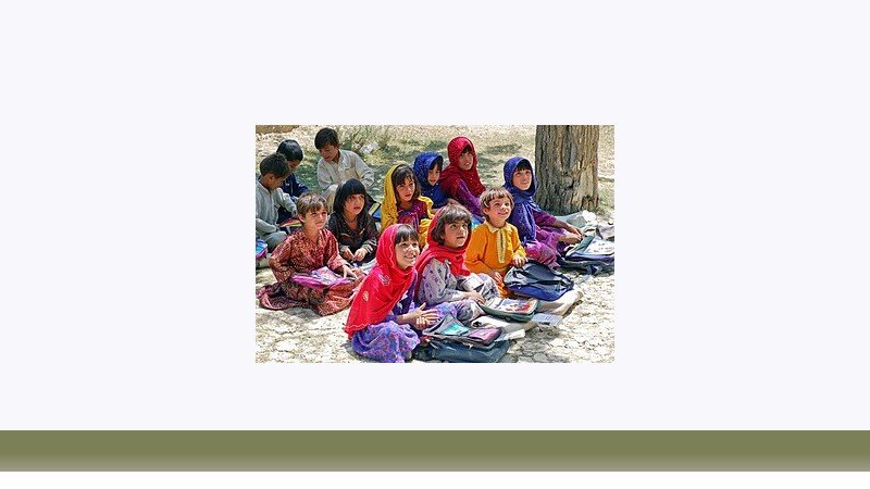 علوم تربیتی