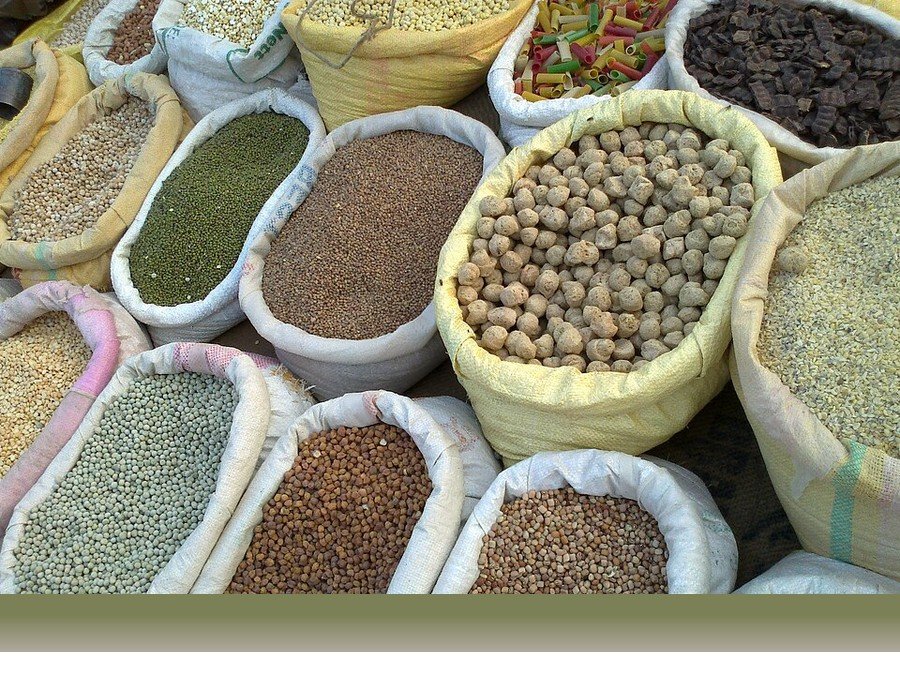 علوم کشاورزی