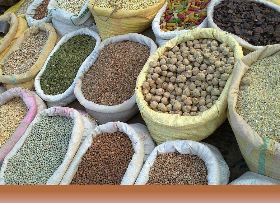 علوم کشاورزی