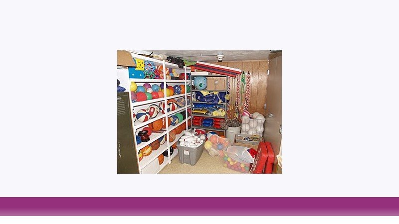 تربیت بدنی