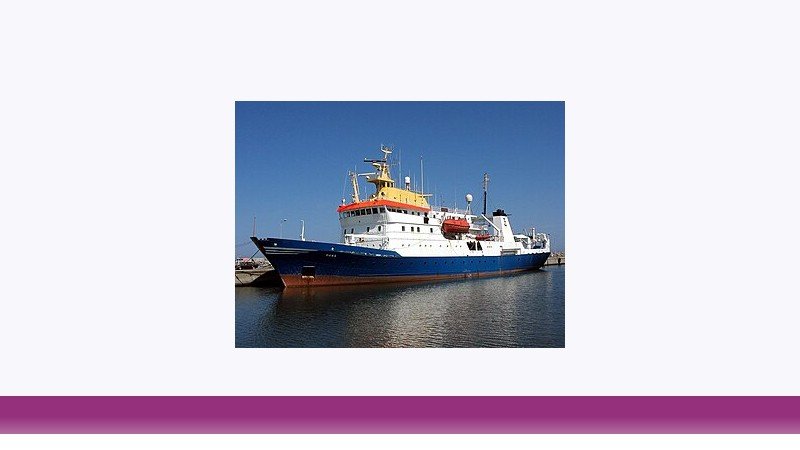 شیلات