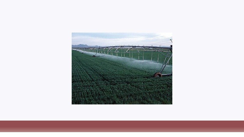 کشاورزی