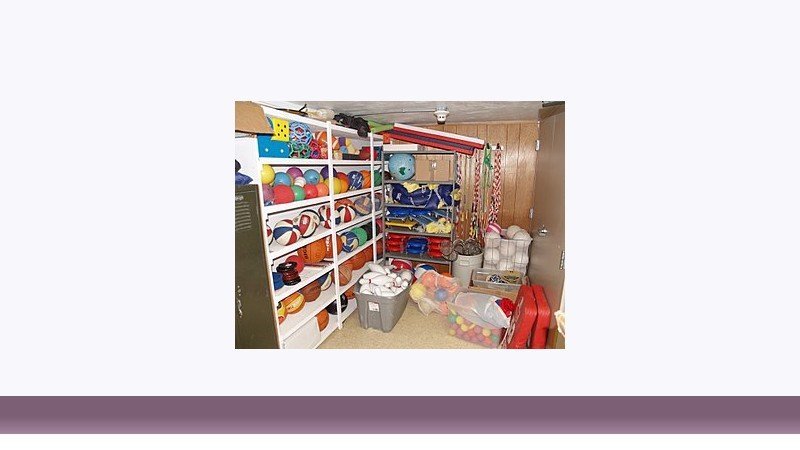 تربیت بدنی