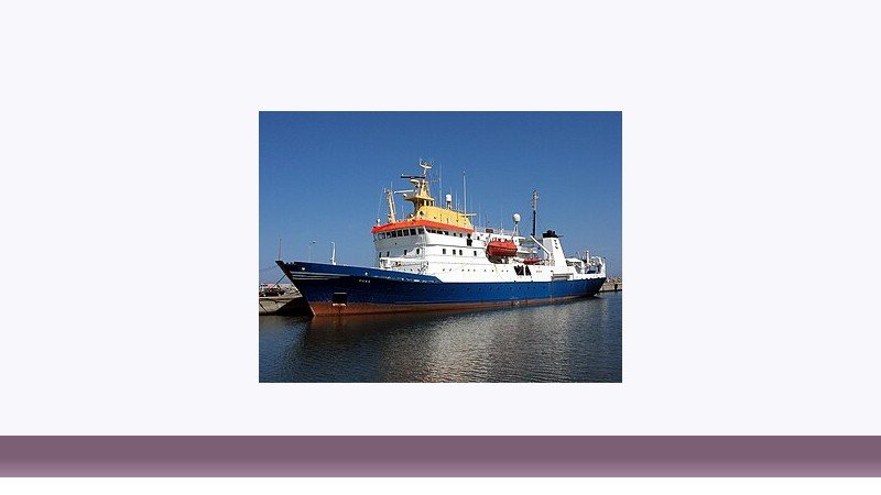 شیلات