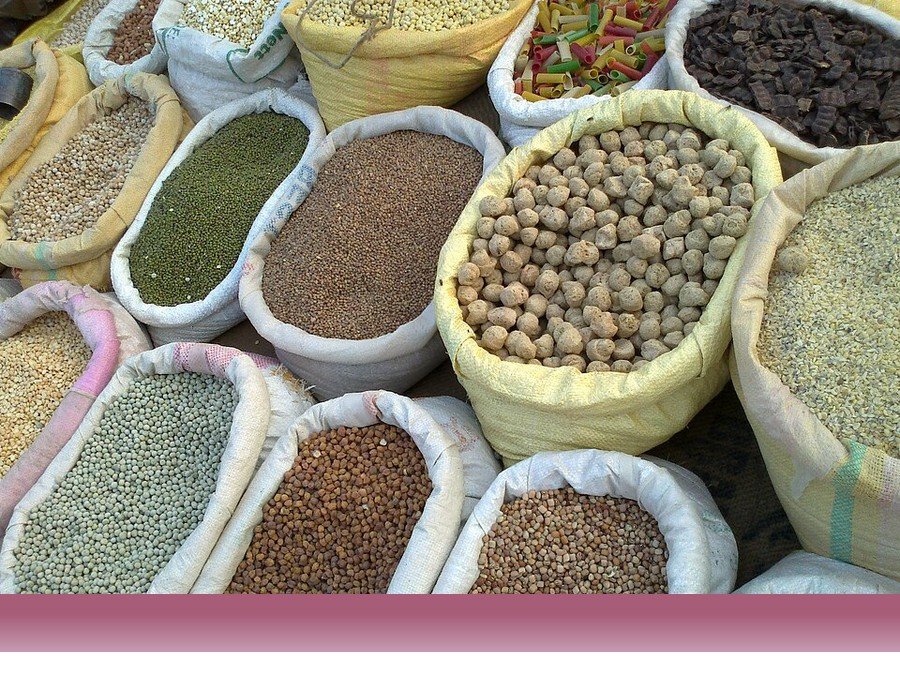 علوم کشاورزی