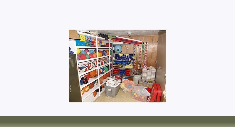 تربیت بدنی