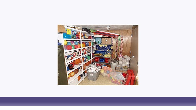تربیت بدنی