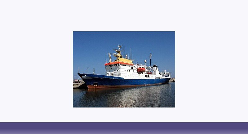 شیلات