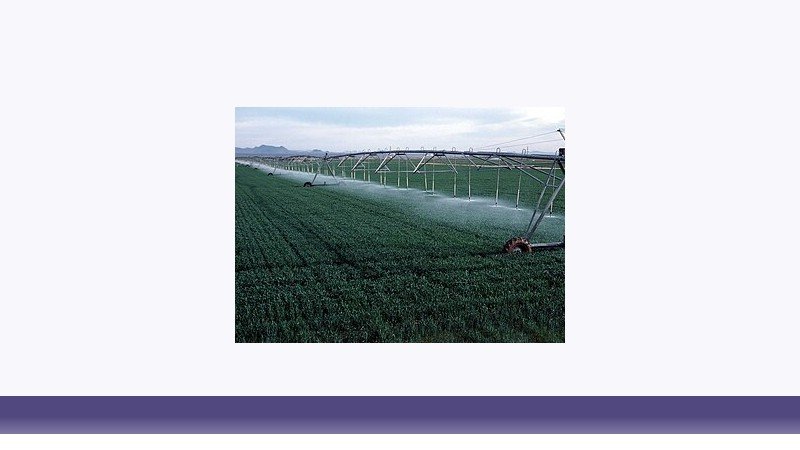 کشاورزی