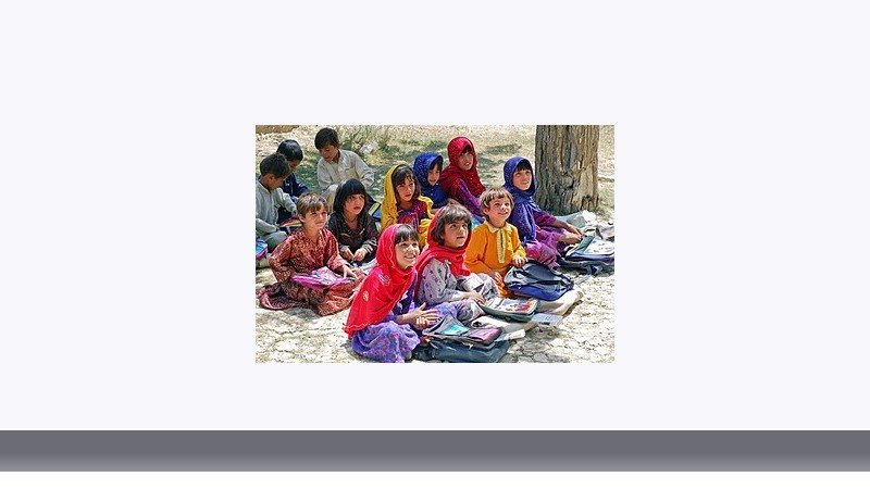 علوم تربیتی