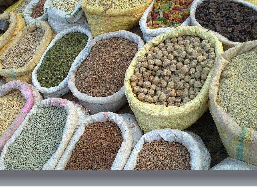 علوم کشاورزی