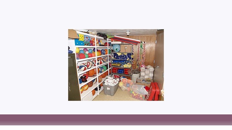تربیت بدنی