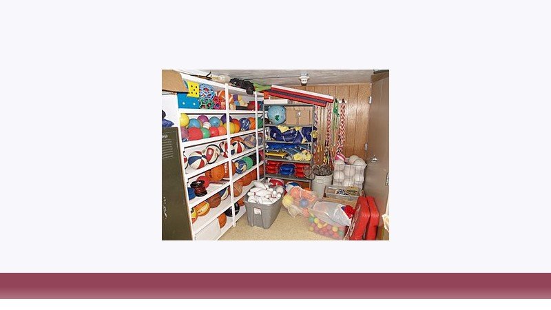 تربیت بدنی