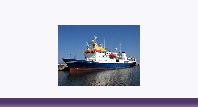شیلات