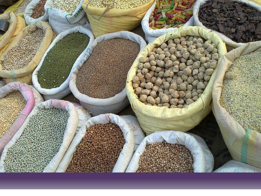علوم کشاورزی