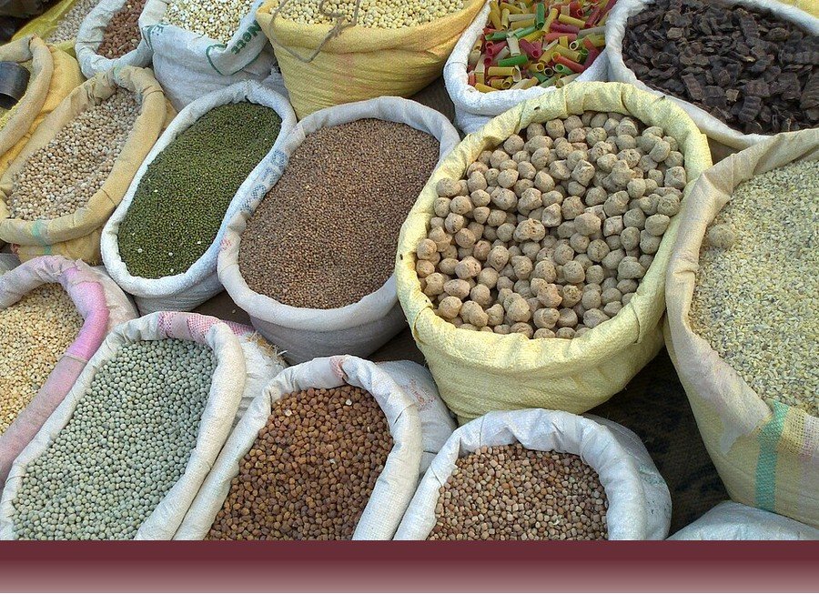علوم کشاورزی