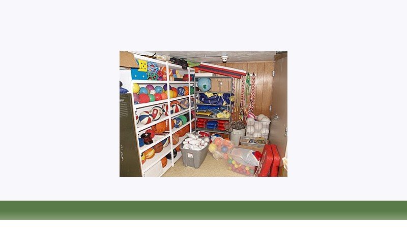 تربیت بدنی