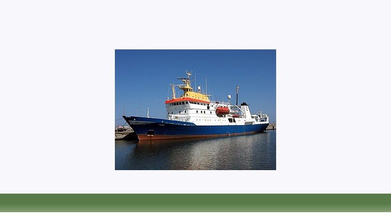 شیلات