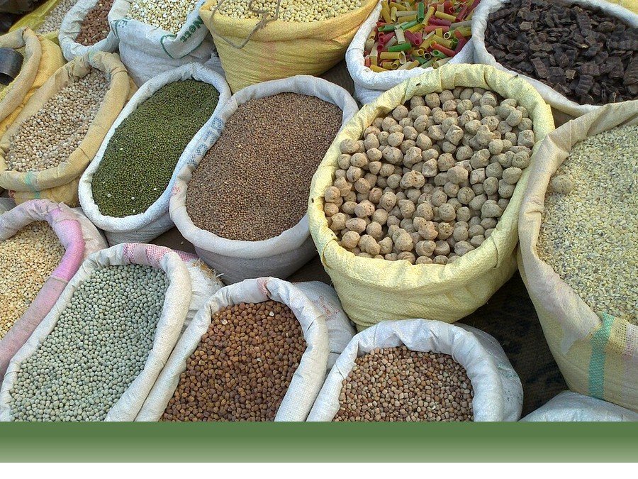 علوم کشاورزی