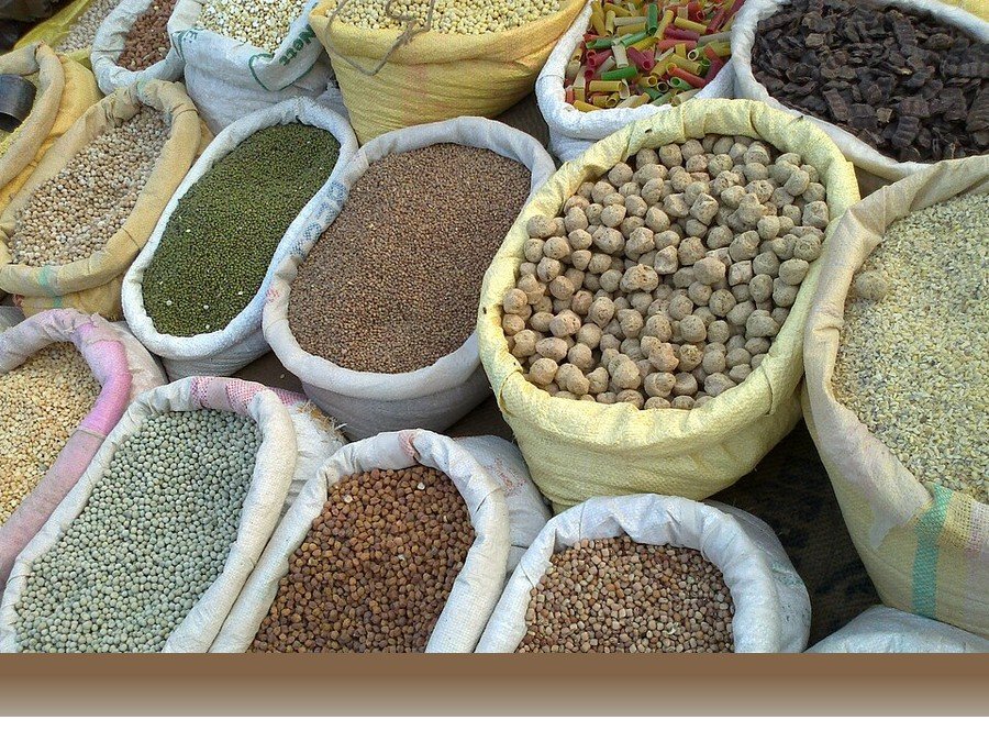 علوم کشاورزی