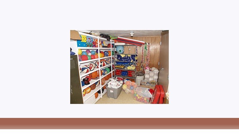تربیت بدنی