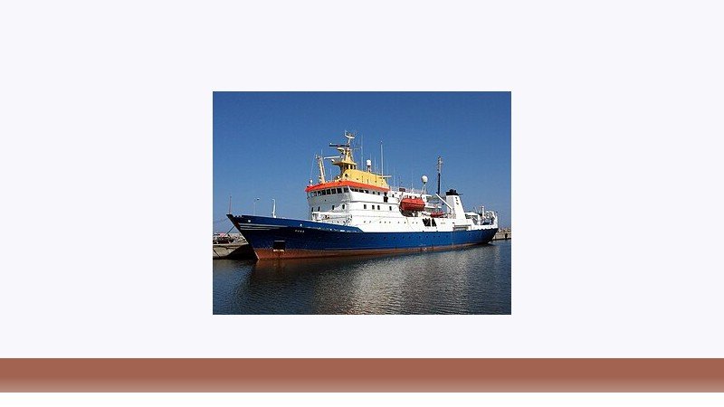 شیلات