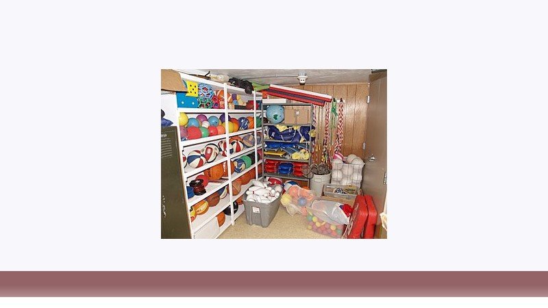 تربیت بدنی
