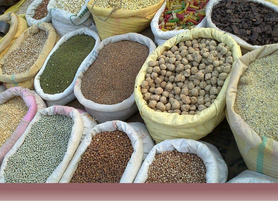 علوم کشاورزی