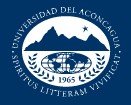 دانشگاه Aconcagua