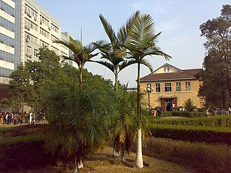 دانشگاه Chongqing Three Gorges
