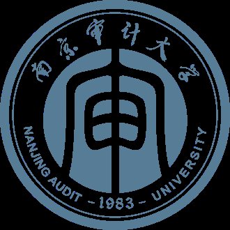 دانشگاه Nanjing Audit