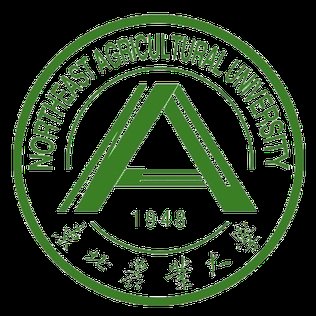 دانشگاه Northeast Agricultural