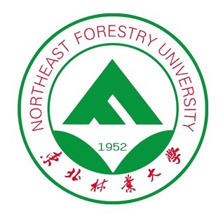 دانشگاه Northeast Forestry