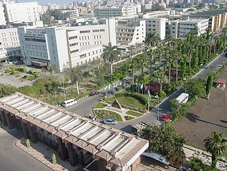 دانشگاه Mansoura
