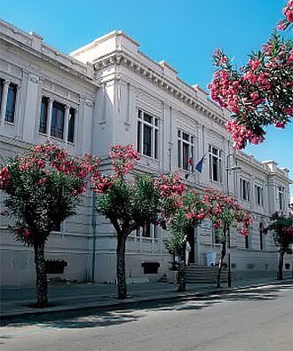 دانشگاه Mediterranea